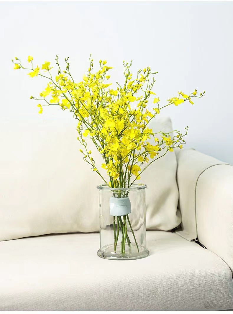 حامل ساق زهور حلزوني لتنسيق ال - مراجعة Ikebana Vase Kenzan وسعره
