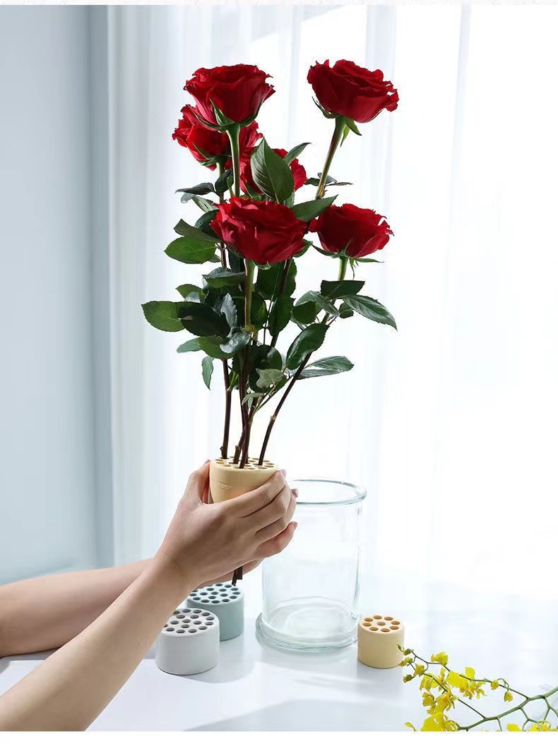 حامل ساق زهور حلزوني لتنسيق ال - مراجعة Ikebana Vase Kenzan وسعره