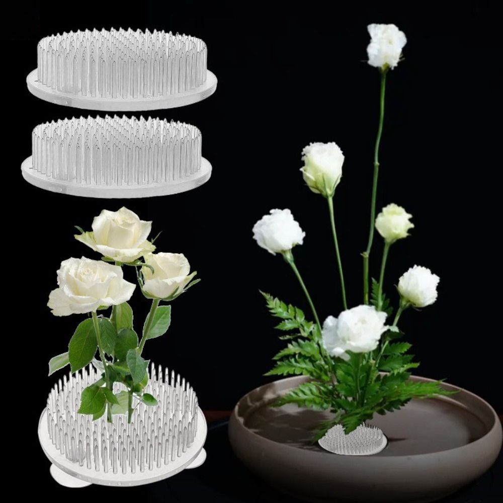 1/3 قطع حامل ساق زهور شفاف دائ - مراجعة Ikebana Vase Kenzan وسعره